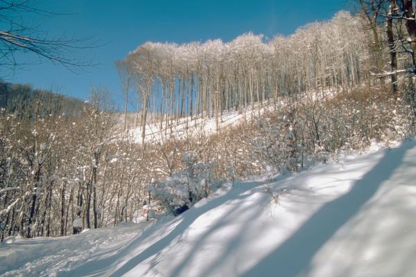 Wienerwald (Österreich)
