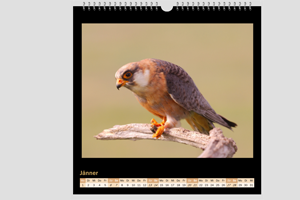 Kalender